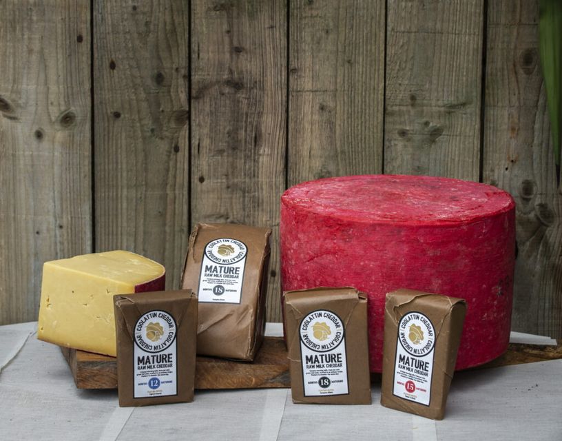 Coolattin Cheddar Ltd wins Best Irish Cheese with their Mount Leinster Clothbound. Photo: Tom Burgess