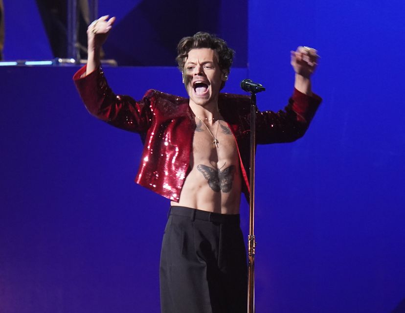 Harry Styles was announced as an investor in 2020 (Ian West/PA)