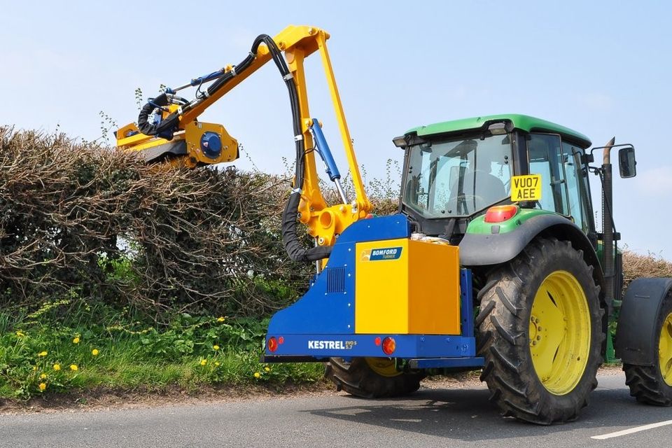 Everything you need to know about choosing and maintaining a hedge ...