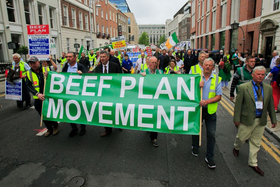 Tipping point: Farmers protesting outside Leinster House last July against the EU-Mercosur trade deal which increases the amount of beef imports allowed into Europe from Brazil and Argentina. The protest was the first big show of strength by the Beef Plan Movement and sparked the nationwide campaign for better beef prices. Photo: Gareth Chaney