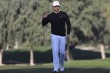 thumbnail: Rory McIlroy was well in the hunt in Dubai (AP)