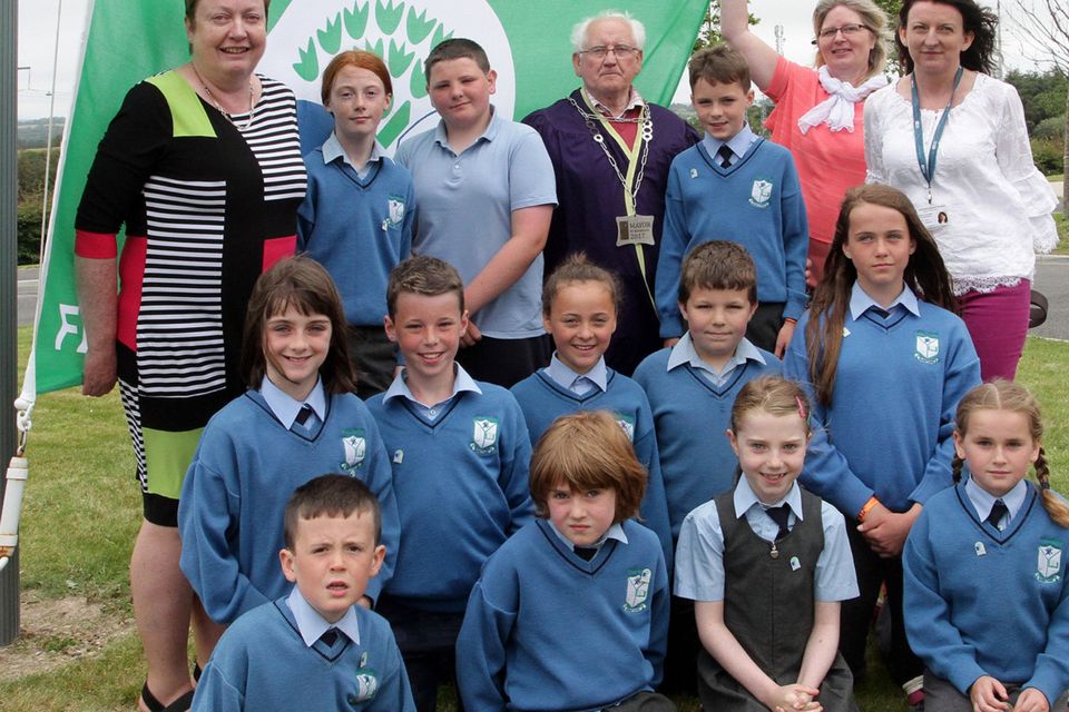 Barntown National School get fifth Green Flag | Independent.ie