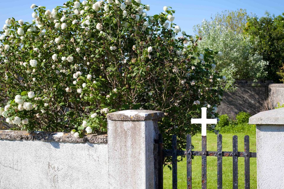 The mass grave in Tuam where up to 800 children are buried. Photo: Andy Newman