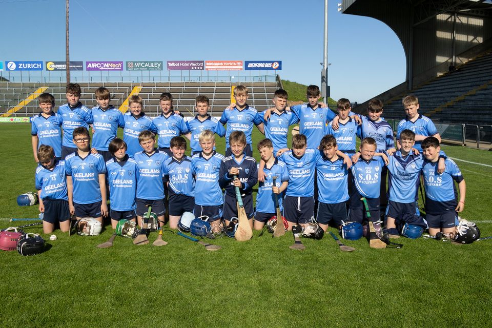 The Rathangan squad, who retained their Roinn 'A' hurling crown.