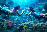 thumbnail: MerPeople