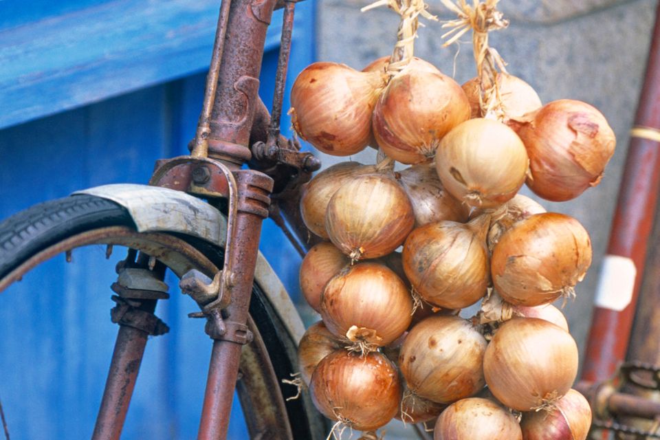 Pink onions in France