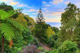 thumbnail: Monte Palace Tropical Gardens, Madeira. iStock/PA.