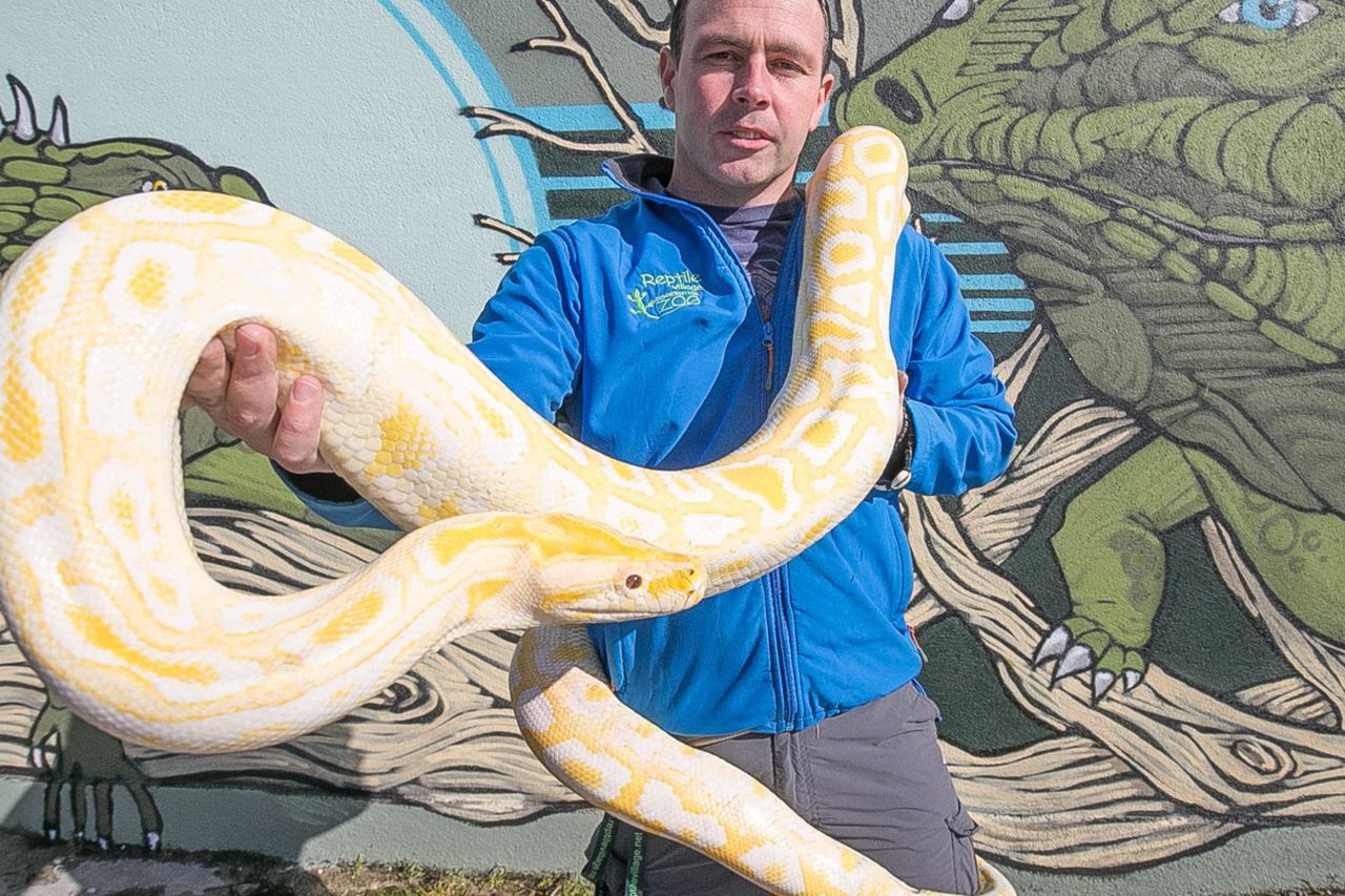 Snakes and ladders: the career slope of a builder turned zoo owner | Irish  Independent