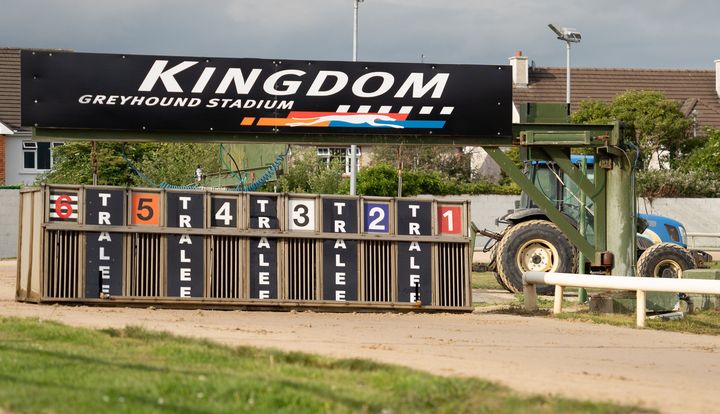 Deerjet Matilda sets best time in John and Mary Dowling (Killeacle) A1 570 heats at Tralee track