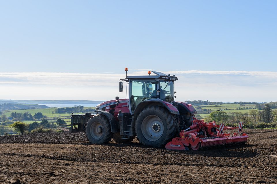 Sowing maize at  at Smugglers Cove, Rosscarbery, Co. Cork. Photo: David Patterson