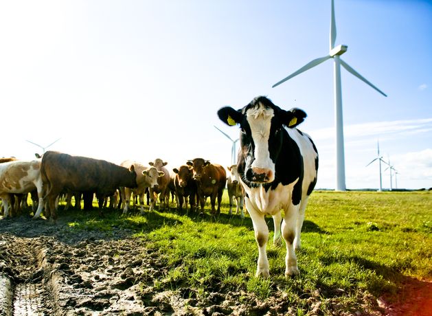 Ireland met EU air pollutant targets in 2024 and is on track to meet 2030 goals, Environmental Protection Agency says