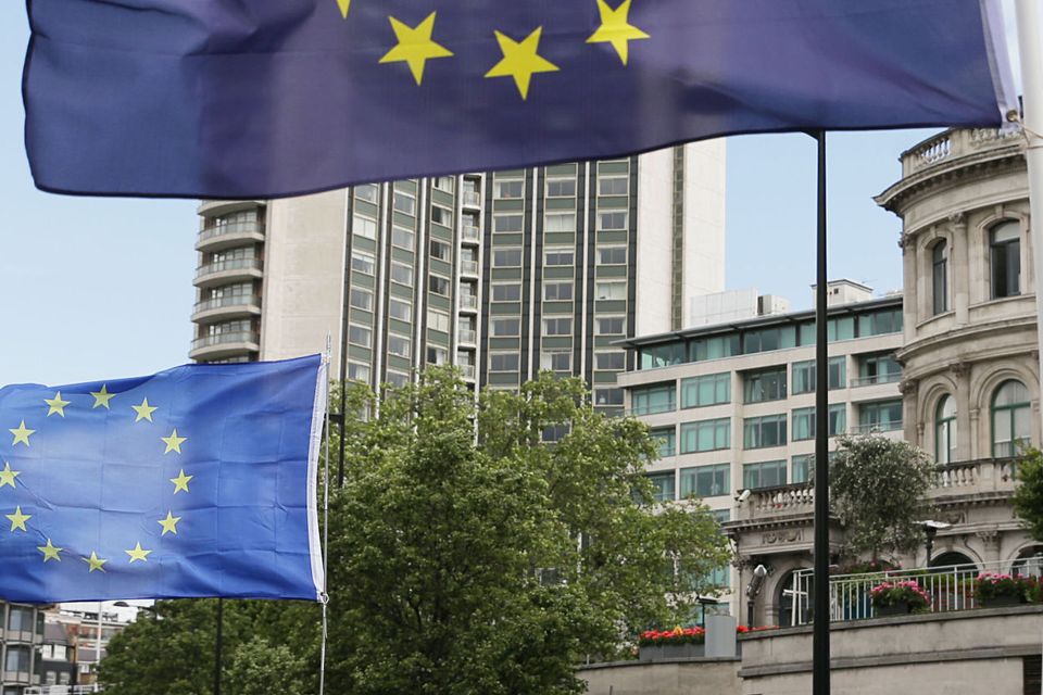 European Union flags fly above Remain supporters
