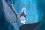thumbnail: Still from Irish animation Song of the Sea which has been nominated for an Oscar...