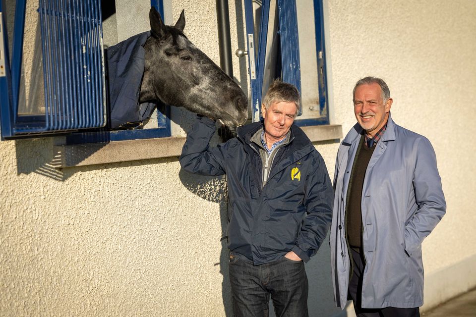 Trainer Barry Connell and Tim Husband, Leopardstown Racecourse CEO, with Apples of Bresil ahead of the Leopardstown Christmas Festival. Photo: Morgan Treacy/Inpho