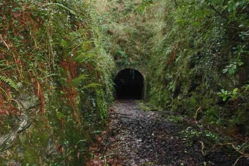 The Mountgarrett Tunnel will be featured in the South East greenway inner route in New Ross.