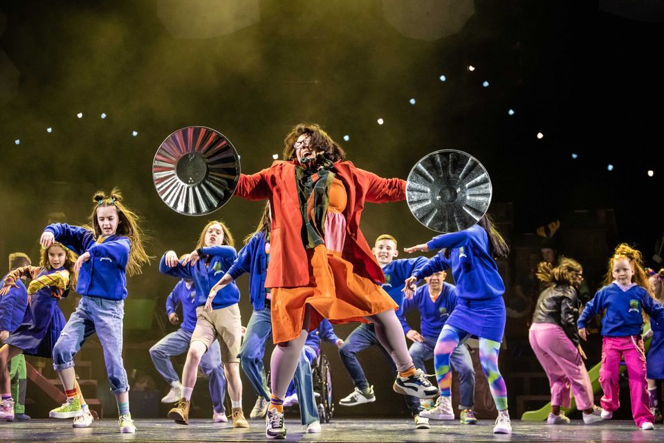 Only one in eight of the tickets that were supposed to be sold were actually bought for Toy Show The Musical, which made a loss of €2.2m. Photo by Ste Murray