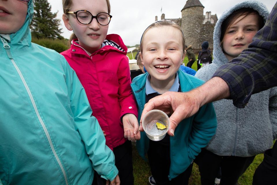 Picture shows Heritage in Schools specialist, Michael Bell, showing a Brimstone moth to children from St. Patrick’s NS, Calry during their biodiversity workshops at Parke’s Castle, Co. Leitrim. Pic: Brian Farrell