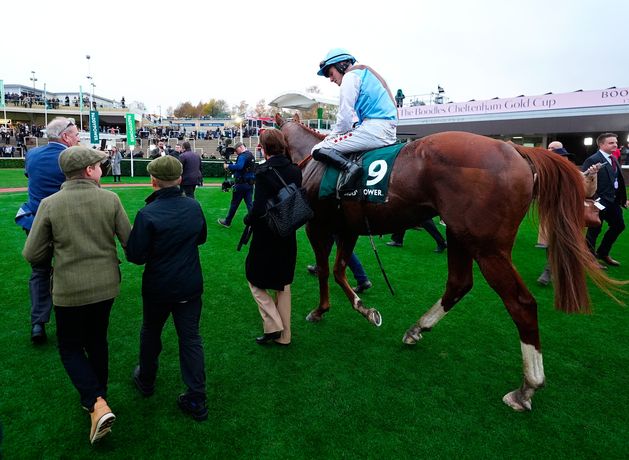 Hamsiyann heralds happier times for Tony Martin at Cheltenham