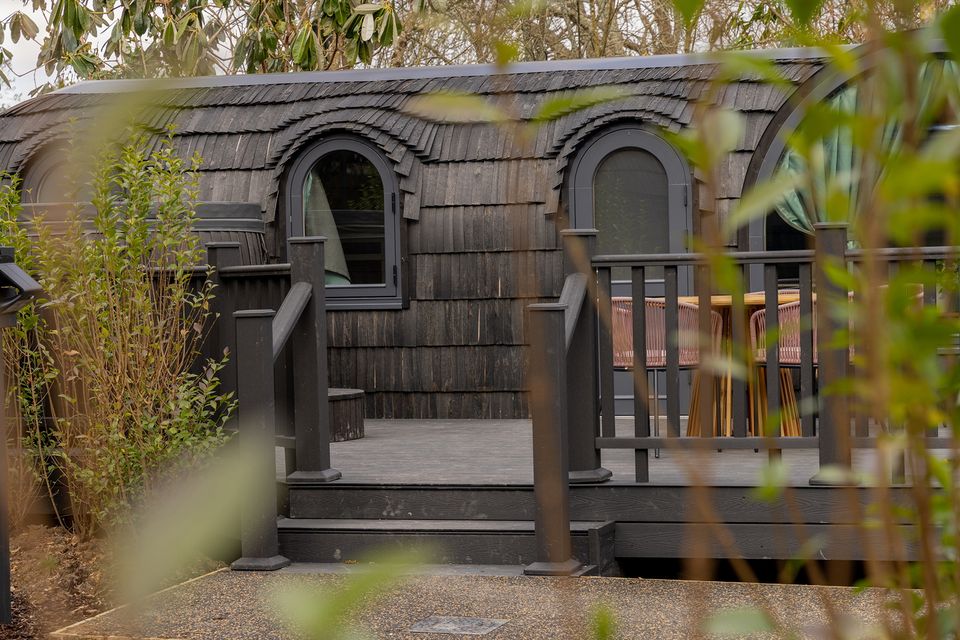 A forest cabin at Mount Congreve