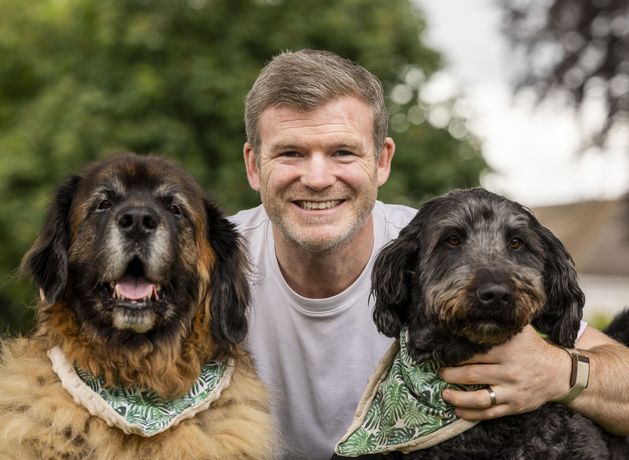 Gordon D’Arcy on his dogs: ‘If Albert doesn’t want to do your bidding, then it’s simply a case of “no thanks” – even to a fillet steak!’