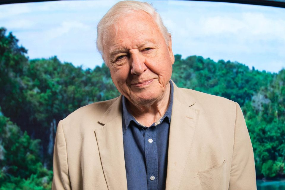 david-attenborough-to-receive-lifetime-achievement-award-irish