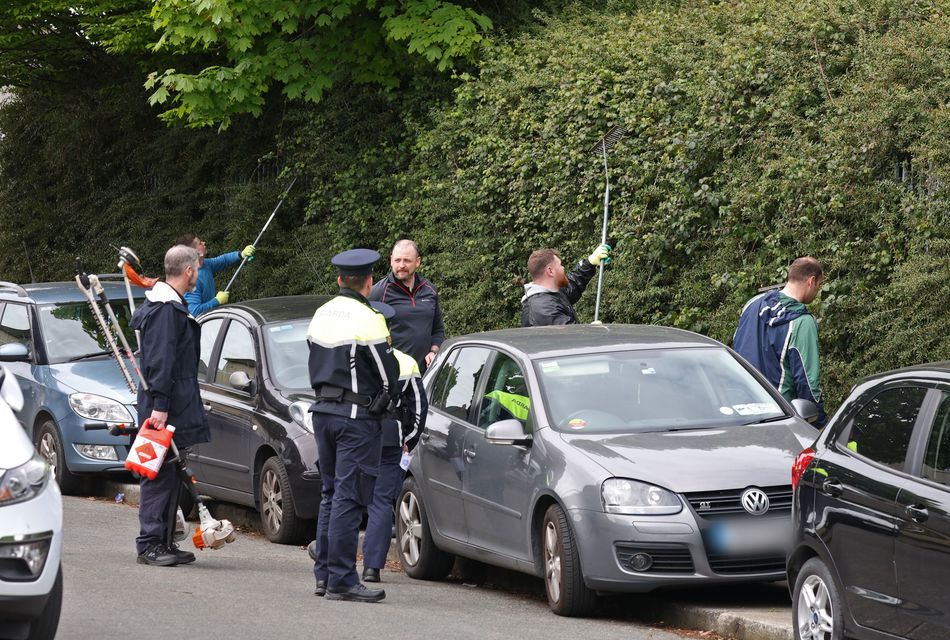 Investigators search hedges on Curlew Road in Drimnagh, near the scene of the shooting.  Photo: Collins
