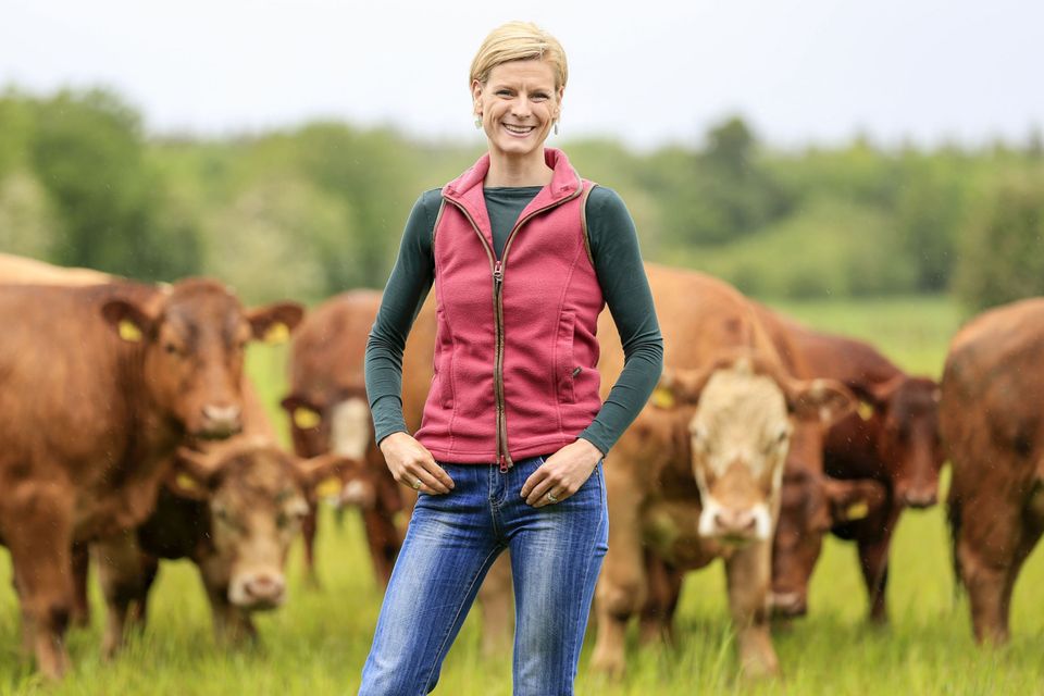 Switch: Pippa Hackett on the family farm which was converted to organic eight years ago.  Along with her husband Noel, the Green Party agriculture spokesperson farms 200ac in Geashill, Co Offaly