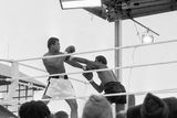 thumbnail: Muhammad Ali in action against Al Blue Lewis at Croke Park in 1972. Photo: Sportsfile