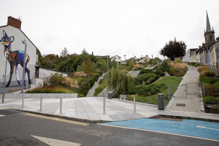 New parking laws for New Ross will clampdown on electric vehicles but won’t lead to increase in disabled spaces