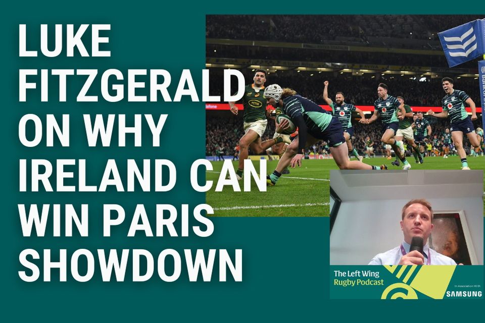 Ireland take on South Africa in Paris on Saturday night.