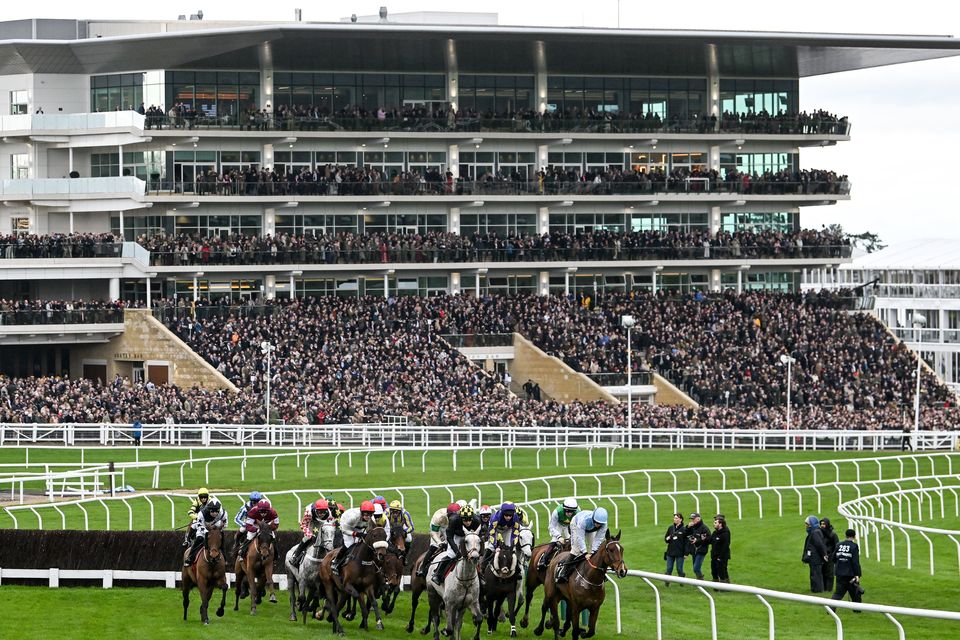 A general view of Prestbury Park during the 2024 Cheltenham Festival