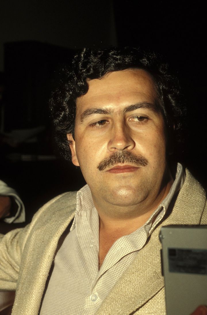 Billionaire’s son offers to save Escobar’s hippos from execution in Colombia