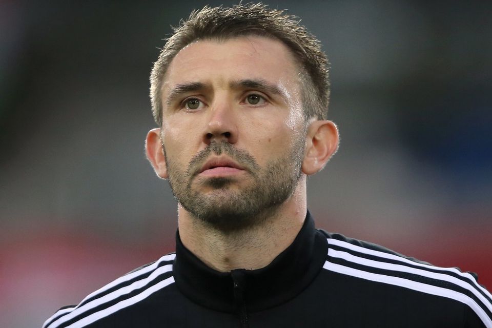 Gareth McAuley knows how much qualifying for Euro 2016 would mean to Northern Ireland's fans