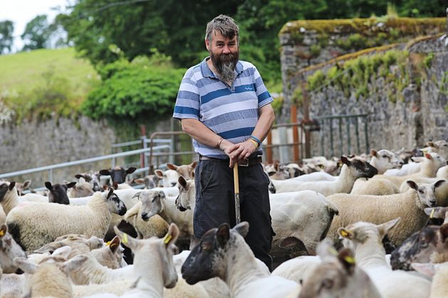 ‘After years of abuse, working on the farm is the reason I’m alive today’