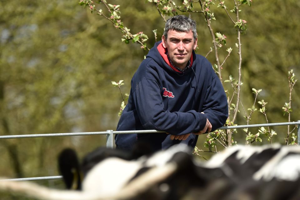 Bill George on the family farm in Ballickmoyler, Co Carlow.