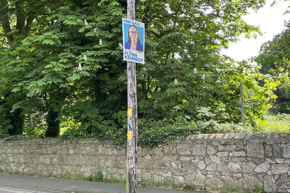 An election poster for Cllr Aoife Flynn Kennedy, on Church Road, Bray. 