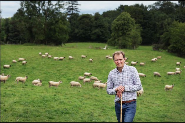 If it’s New Zealand lamb, just say it