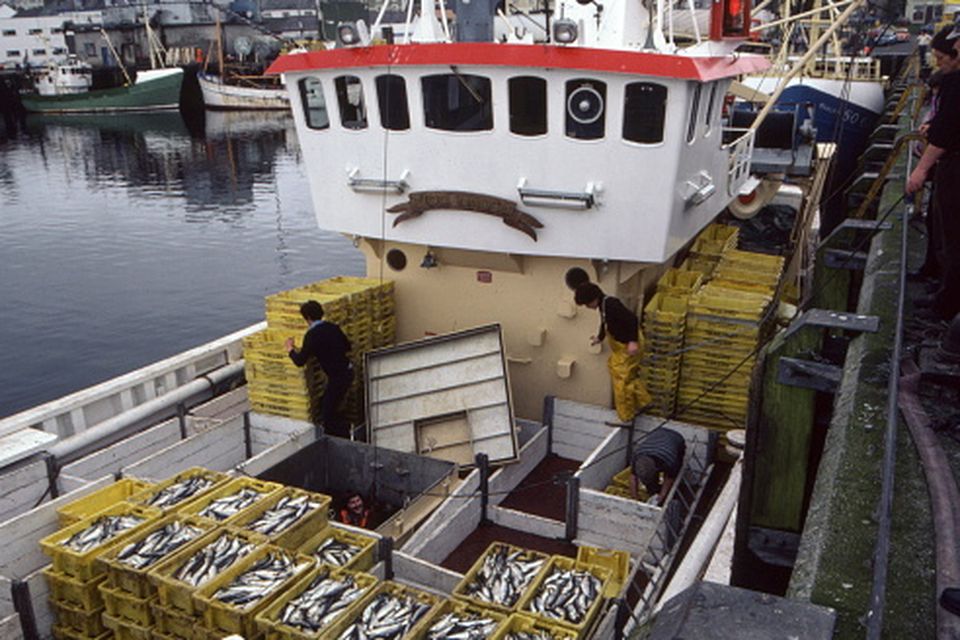 Fishing vessels at Killybegs, Co Donegal. Stock photo: Getty Images