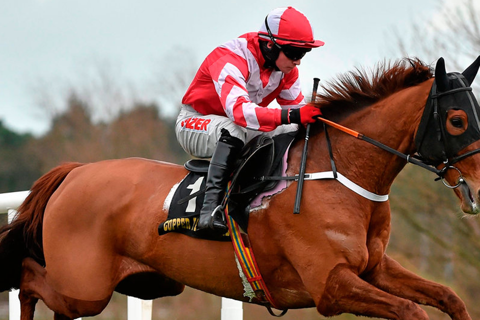 Acapella Bourgeois is to join Willie Mullins. Photo: Matt Browne/Sportsfile