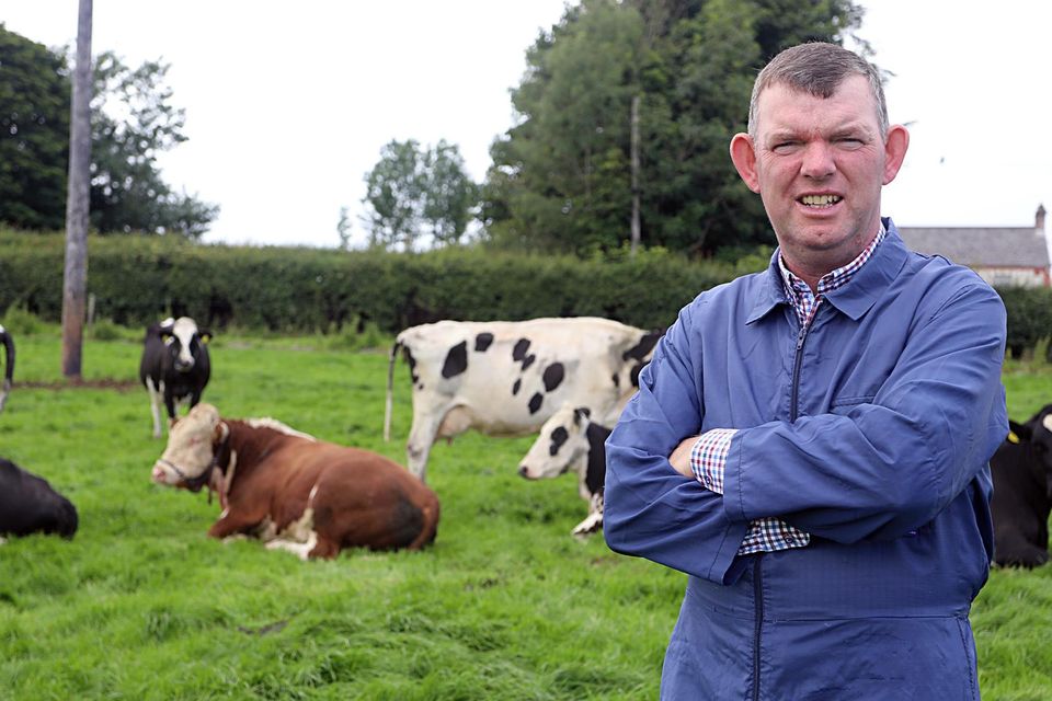 Raising the quality of dairy beef calves: Gerard Sherlock on his Monaghan farm with a stock bull. Photo: Lorraine Teevan