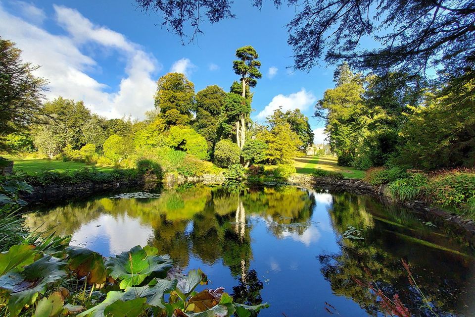 National Botanic Gardens of Ireland Kilmacurragh.