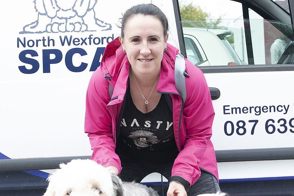 At the start of the annual NWSPCA Charity Dog Walk outside Maxi Zoo on Sunday were Shereen Redmond with Charley and Belle. Pic: Jim Campbell