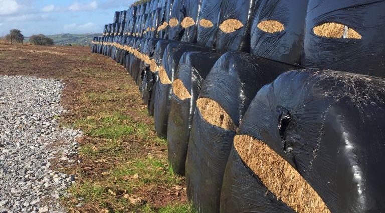 Farmer finds over 100 silage bales slashed - hundreds of euros of