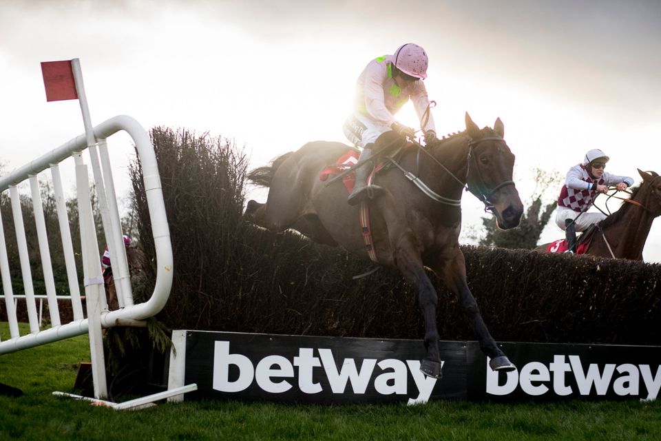 CONFIDENCE HIGH: Getabird is going for a Grade One over fences today. Photo: Racing Post