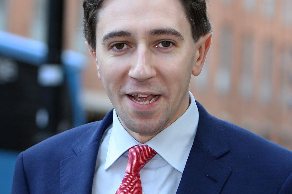 Junior Minister Simon Harris
