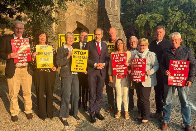 Wicklow council confirms key N11/M11 junction will stay open under updated bus corridor plan