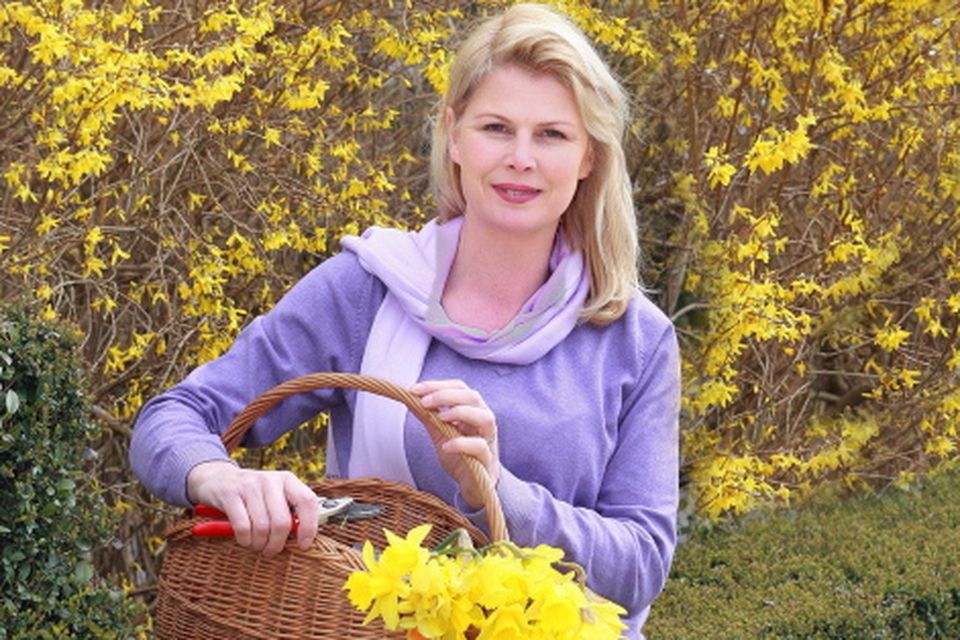 Marie Staunton: "The very best choice of colours to complement yellow are blue or purple"
