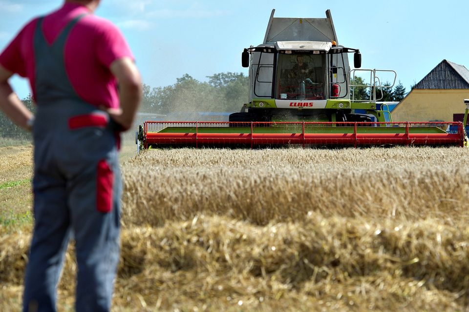 A farmer watches as grain is harvested. REUTERS/Henning Bagger/Scanpix/File Photo