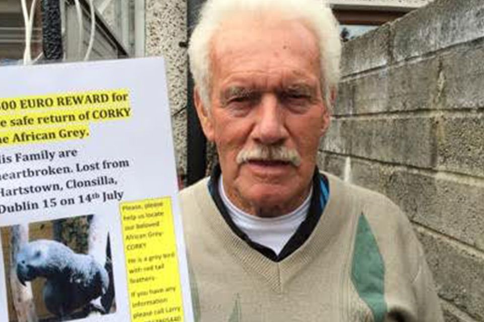 Paddy Gaffney