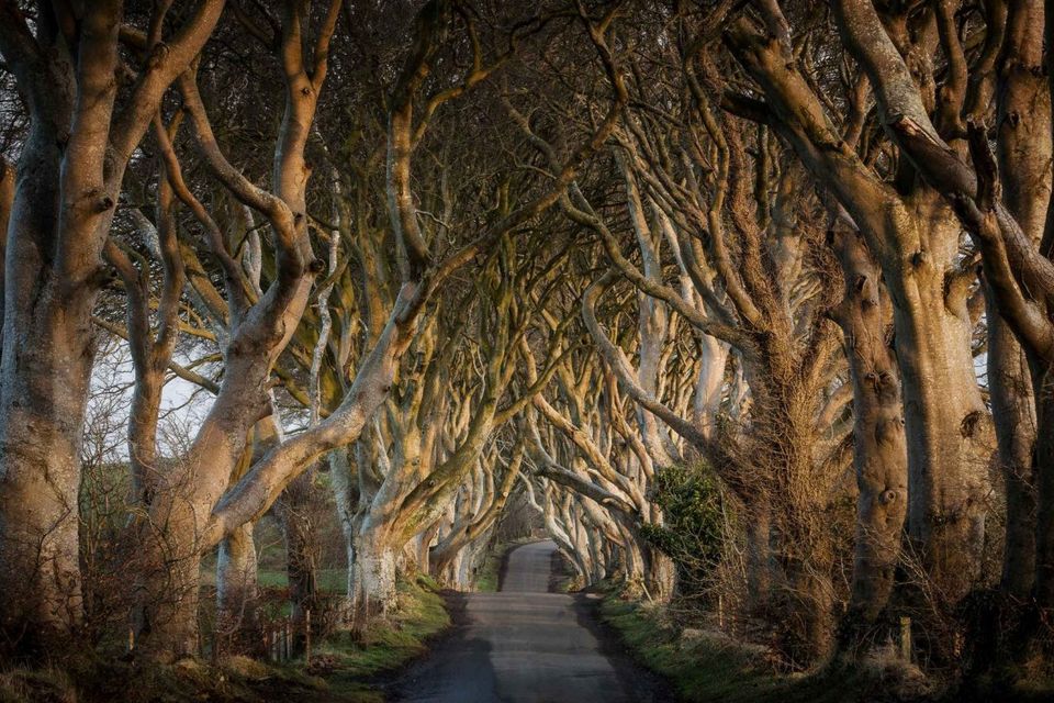 Game Of Thrones Locations Northern Ireland